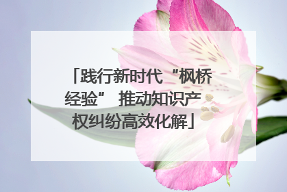 践行新时代“枫桥经验” 推动知识产权纠纷高效化解