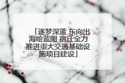 逐梦深蓝 东向出海绘蓝图 宿迁全力推进重大交通基础设施项目建设