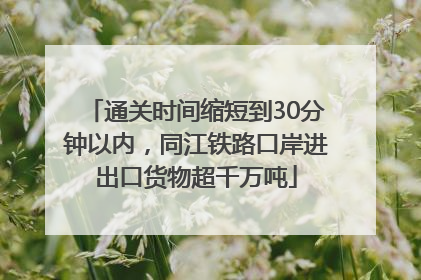 通关时间缩短到30分钟以内，同江铁路口岸进出口货物超千万吨