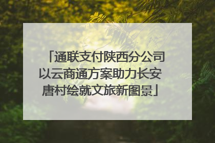通联支付陕西分公司以云商通方案助力长安唐村绘就文旅新图景