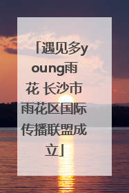 遇见多young雨花 长沙市雨花区国际传播联盟成立
