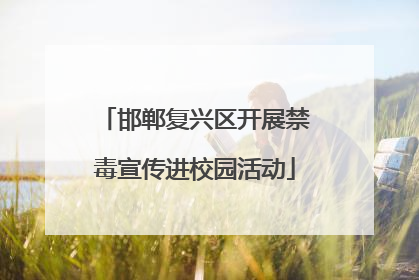 邯郸复兴区开展禁毒宣传进校园活动
