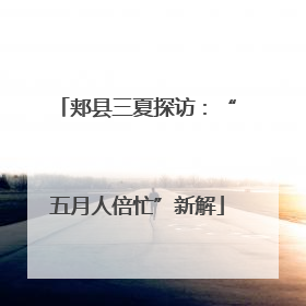 郏县三夏探访：“五月人倍忙”新解