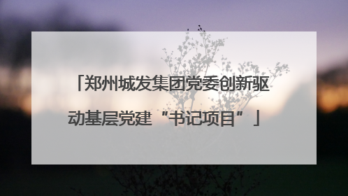 郑州城发集团党委创新驱动基层党建“书记项目”