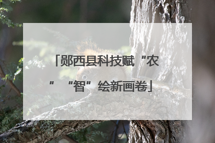 郧西县科技赋“农”“智”绘新画卷