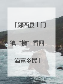 郧西县土门镇“椒”香四溢富乡民