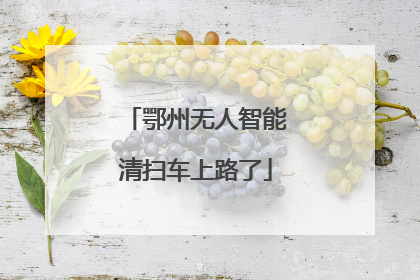 鄂州无人智能清扫车上路了