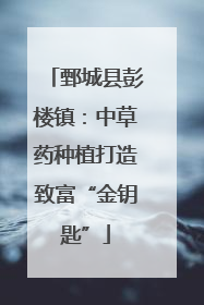 鄄城县彭楼镇：中草药种植打造致富“金钥匙”
