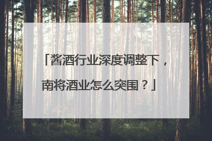 酱酒行业深度调整下，南将酒业怎么突围？