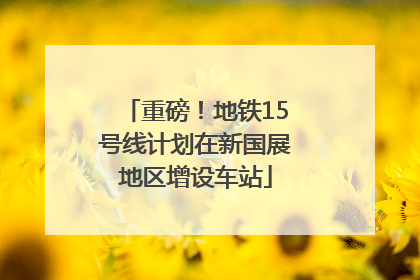 重磅！地铁15号线计划在新国展地区增设车站