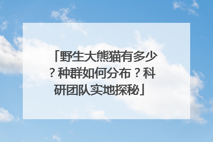 野生大熊猫有多少？种群如何分布？科研团队实地探秘