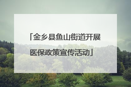 金乡县鱼山街道开展医保政策宣传活动