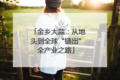 金乡大蒜：从地头到全球“链出”全产业之路