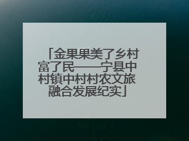 金果果美了乡村富了民——宁县中村镇中村村农文旅融合发展纪实