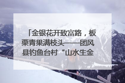 金银花开致富路，板栗青果满枝头——团风县钓鱼台村“山水生金”谱写共富新篇章