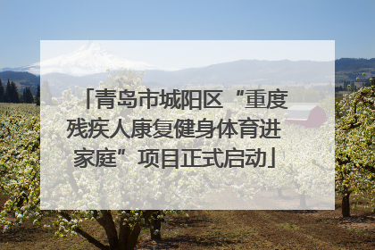 青岛市城阳区“重度残疾人康复健身体育进家庭”项目正式启动