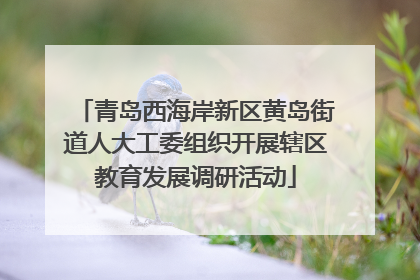 青岛西海岸新区黄岛街道人大工委组织开展辖区教育发展调研活动