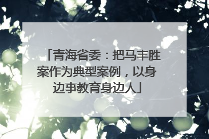 青海省委：把马丰胜案作为典型案例，以身边事教育身边人
