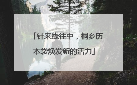 针来线往中，桐乡历本袋焕发新的活力