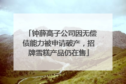 钟薛高子公司因无偿债能力被申请破产，招牌雪糕产品仍在售