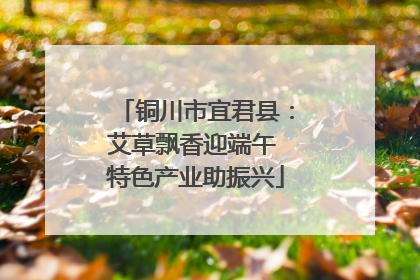 铜川市宜君县：艾草飘香迎端午 特色产业助振兴