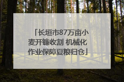 长垣市87万亩小麦开镰收割 机械化作业保障夏粮归仓