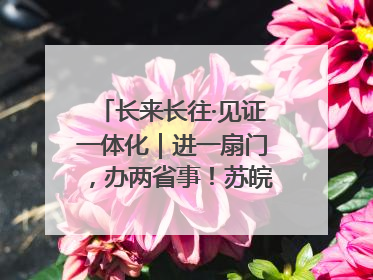 长来长往·见证一体化｜进一扇门，办两省事！苏皖“孪生”丹阳如何做到的？