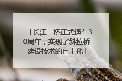 长江二桥正式通车30周年，实现了斜拉桥建设技术的自主化