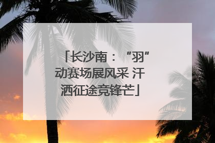 长沙南：“羽”动赛场展风采 汗洒征途竞锋芒