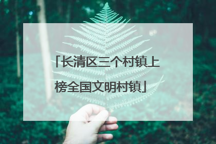 长清区三个村镇上榜全国文明村镇