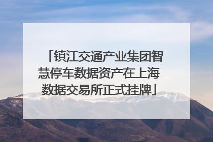 镇江交通产业集团智慧停车数据资产在上海数据交易所正式挂牌