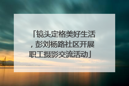 镜头定格美好生活，彭刘杨路社区开展职工摄影交流活动
