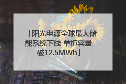 阳光电源全球最大储能系统下线 单柜容量破12.5MWh