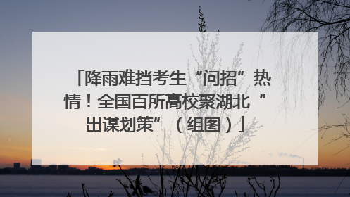 降雨难挡考生“问招”热情！全国百所高校聚湖北“出谋划策”（组图）