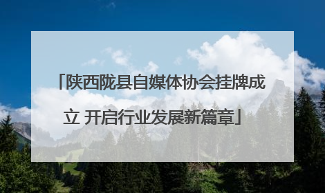 陕西陇县自媒体协会挂牌成立 开启行业发展新篇章