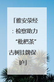 雅安荥经：检察助力“枇杷茶”古树挂牌保护