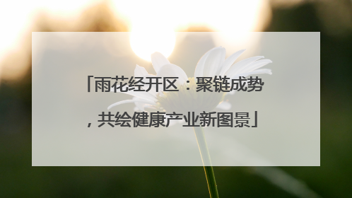 雨花经开区：聚链成势，共绘健康产业新图景