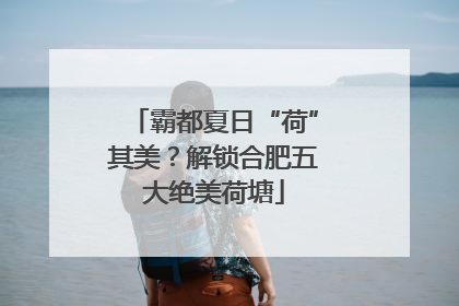 霸都夏日“荷”其美？解锁合肥五大绝美荷塘
