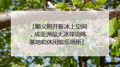 顺义将开新冰上空间，成亚洲最大冰球训练基地和休闲娱乐场所