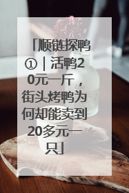 顺链探鸭①｜活鸭20元一斤，街头烤鸭为何却能卖到20多元一只