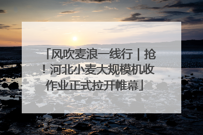 风吹麦浪一线行｜抢！河北小麦大规模机收作业正式拉开帷幕