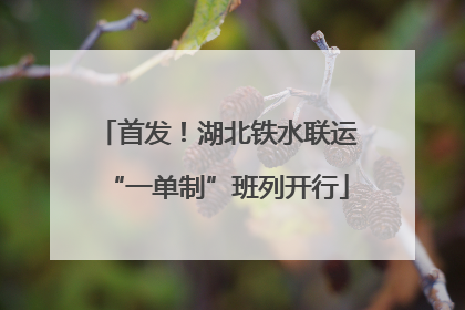 首发！湖北铁水联运“一单制”班列开行