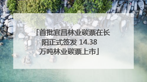首批宜昌林业碳票在长阳正式签发 14.38万吨林业碳票上市