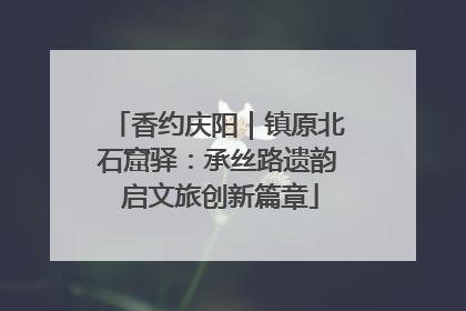 香约庆阳｜镇原北石窟驿：承丝路遗韵 启文旅创新篇章