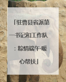 驻曹县省派第一书记和工作队：粽情端午·暖心帮扶