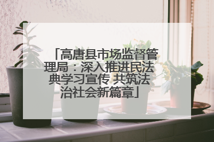 高唐县市场监督管理局：深入推进民法典学习宣传 共筑法治社会新篇章