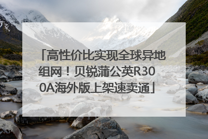 高性价比实现全球异地组网！贝锐蒲公英R300A海外版上架速卖通