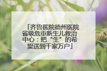 齐鲁医院德州医院省级危重新生儿救治中心：把“生”的希望送到千家万户