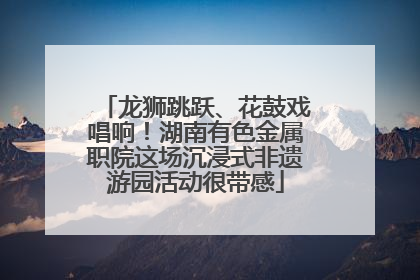 龙狮跳跃、花鼓戏唱响！湖南有色金属职院这场沉浸式非遗游园活动很带感