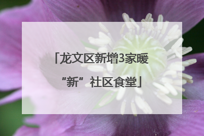 龙文区新增3家暖“新”社区食堂